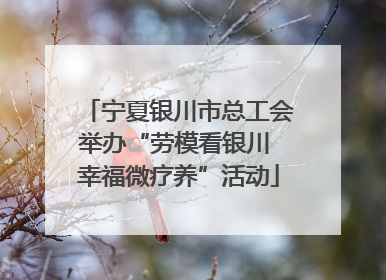 宁夏银川市总工会举办“劳模看银川 幸福微疗养”活动