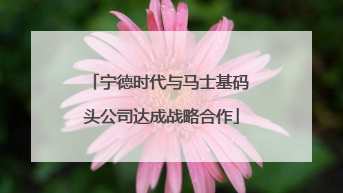 宁德时代与马士基码头公司达成战略合作