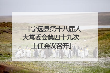 宁远县第十八届人大常委会第四十九次主任会议召开
