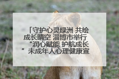 守护心灵绿洲 共绘成长晴空 淄博市举行“润心赋能 护航成长”未成年人心理健康宣传教育主题活动