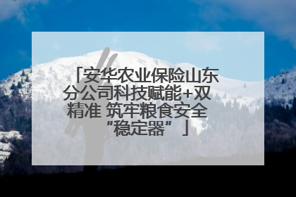 安华农业保险山东分公司科技赋能+双精准 筑牢粮食安全“稳定器”