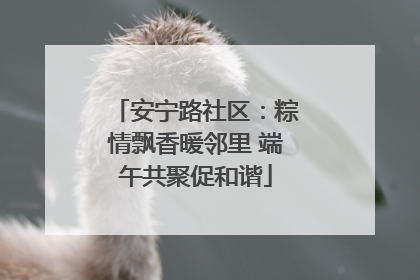 安宁路社区：粽情飘香暖邻里 端午共聚促和谐