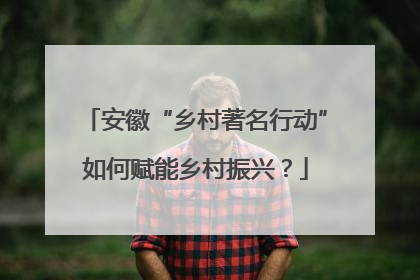安徽“乡村著名行动”如何赋能乡村振兴？