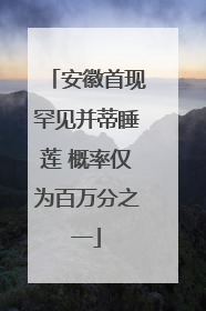 安徽首现罕见并蒂睡莲 概率仅为百万分之一