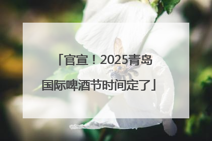 官宣！2025青岛国际啤酒节时间定了