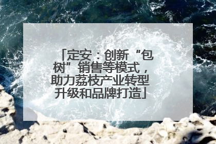 定安：创新“包树”销售等模式，助力荔枝产业转型升级和品牌打造