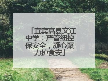 宜宾高县文江中学：严管细控保安全，凝心聚力护食安