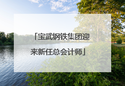 宝武钢铁集团迎来新任总会计师