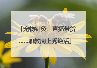 宠物针灸、直播带货……职教周上秀绝活