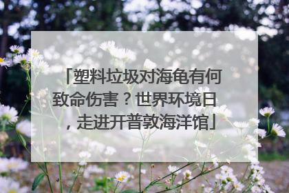 塑料垃圾对海龟有何致命伤害？世界环境日，走进开普敦海洋馆