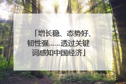 增长稳、态势好、韧性强……透过关键词感知中国经济