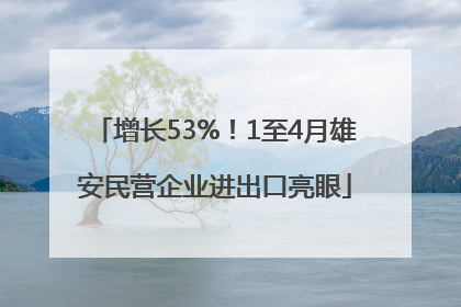 增长53%！1至4月雄安民营企业进出口亮眼