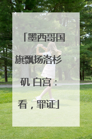墨西哥国旗飘扬洛杉矶 白宫：看，罪证