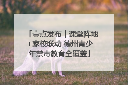 壹点发布｜课堂阵地+家校联动 德州青少年禁毒教育全覆盖