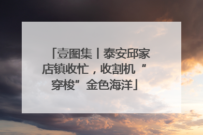 壹图集丨泰安邱家店镇收忙，收割机“穿梭”金色海洋