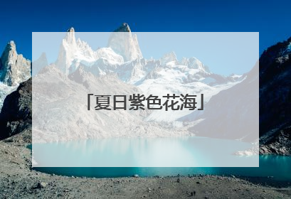 夏日紫色花海