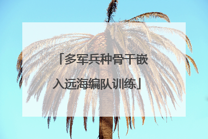 多军兵种骨干嵌入远海编队训练