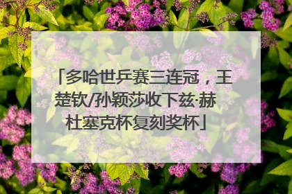 多哈世乒赛三连冠，王楚钦/孙颖莎收下兹·赫杜塞克杯复刻奖杯