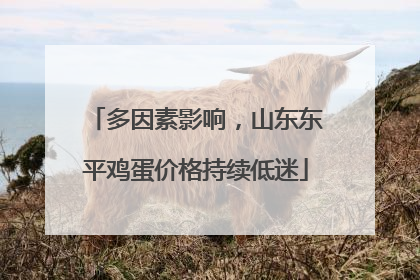 多因素影响，山东东平鸡蛋价格持续低迷