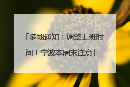多地通知：调整上班时间！宁波本周末注意
