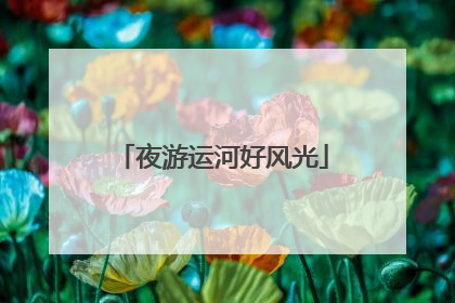夜游运河好风光