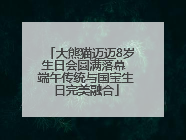 大熊猫迈迈8岁生日会圆满落幕 端午传统与国宝生日完美融合