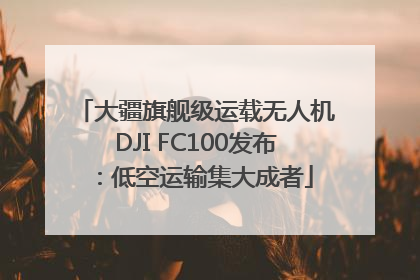 大疆旗舰级运载无人机DJI FC100发布：低空运输集大成者
