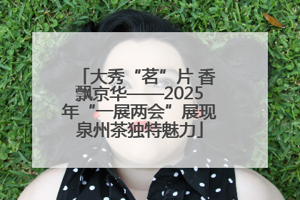 大秀“茗”片 香飘京华——2025年“一展两会”展现泉州茶独特魅力