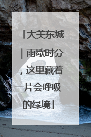 大美东城｜雨歇时分，这里藏着一片会呼吸的绿境