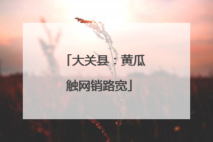 大关县：黄瓜触网销路宽