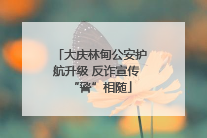 大庆林甸公安护航升级 反诈宣传“警”相随
