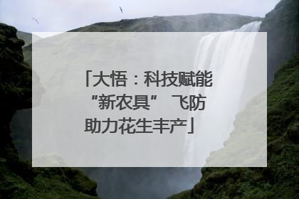 大悟：科技赋能“新农具” 飞防助力花生丰产