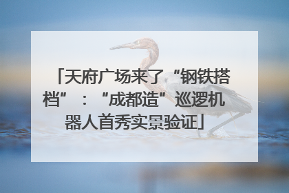 天府广场来了“钢铁搭档”：“成都造”巡逻机器人首秀实景验证