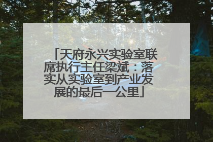 天府永兴实验室联席执行主任梁斌：落实从实验室到产业发展的最后一公里