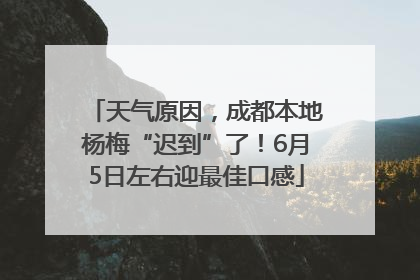 天气原因，成都本地杨梅“迟到”了！6月5日左右迎最佳口感