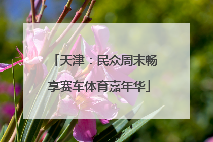 天津：民众周末畅享赛车体育嘉年华