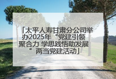 太平人寿甘肃分公司举办2025年“党建引领聚合力 学思践悟助发展”两当党建活动