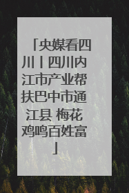 央媒看四川丨四川内江市产业帮扶巴中市通江县 梅花鸡鸣百姓富