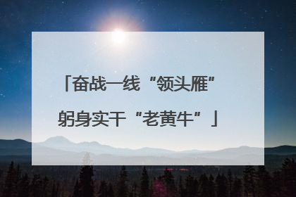 奋战一线“领头雁” 躬身实干“老黄牛”