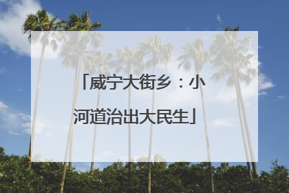 威宁大街乡：小河道治出大民生