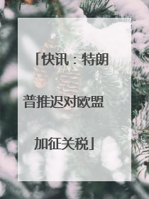 快讯：特朗普推迟对欧盟加征关税