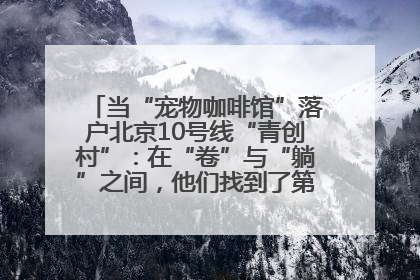 当“宠物咖啡馆”落户北京10号线“青创村”：在“卷”与“躺”之间，他们找到了第三种生活公式
