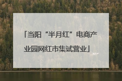 当阳“半月红”电商产业园网红市集试营业