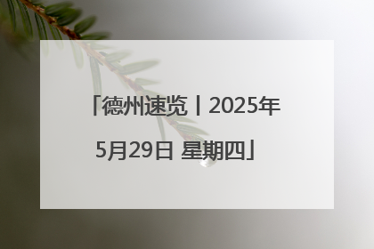 德州速览丨2025年5月29日 星期四