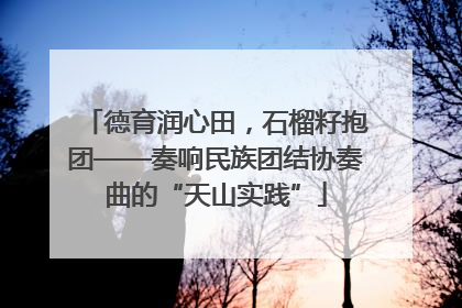 德育润心田，石榴籽抱团——奏响民族团结协奏曲的“天山实践”