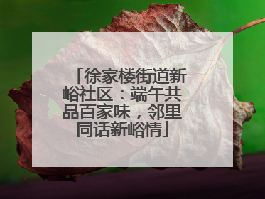 徐家楼街道新峪社区：端午共品百家味，邻里同话新峪情