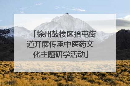 徐州鼓楼区拾屯街道开展传承中医药文化主题研学活动