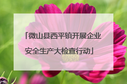 微山县西平镇开展企业安全生产大检查行动