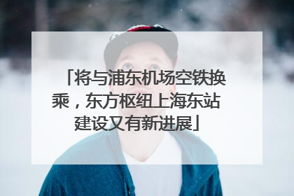 将与浦东机场空铁换乘，东方枢纽上海东站建设又有新进展