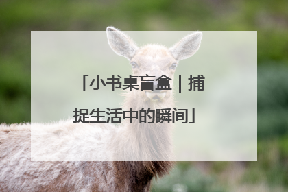 小书桌盲盒｜捕捉生活中的瞬间